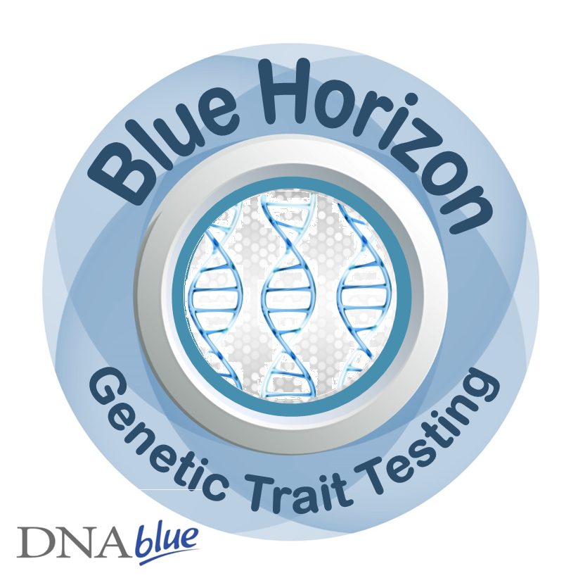 DNAblue Wellman Genetic Traits — Blue Horizon Medicals