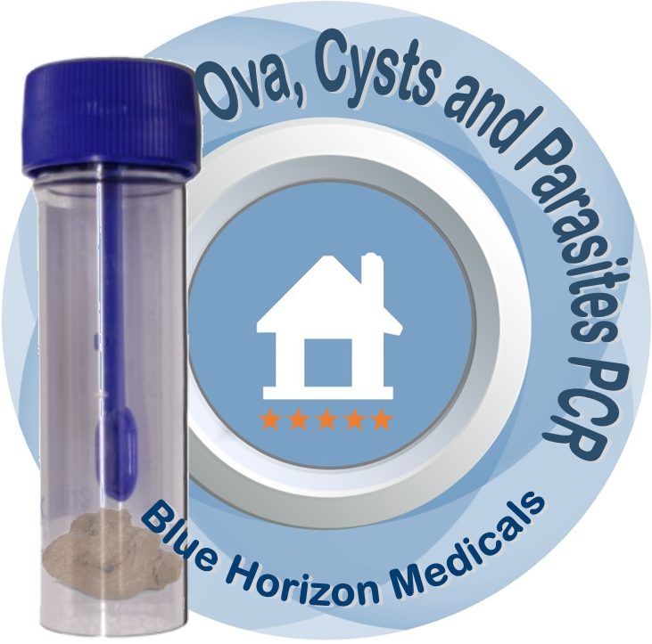 Common Gut Parasites (by PCR) — Blue Horizon Medicals